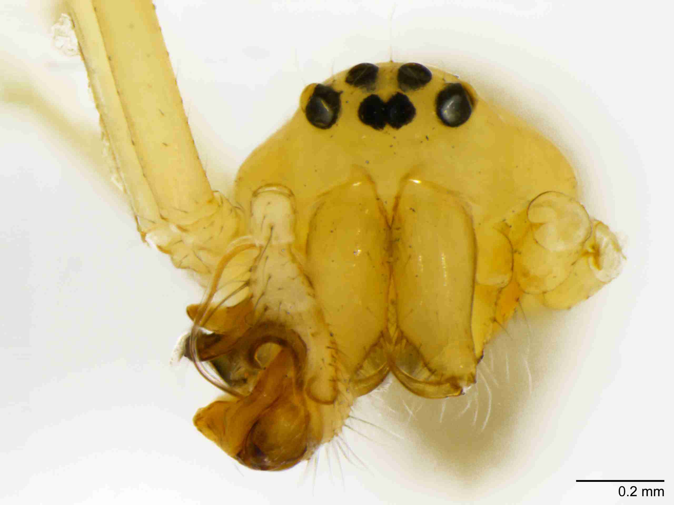 INVPICV123mpprsaPIC535_80X_NL.jpg