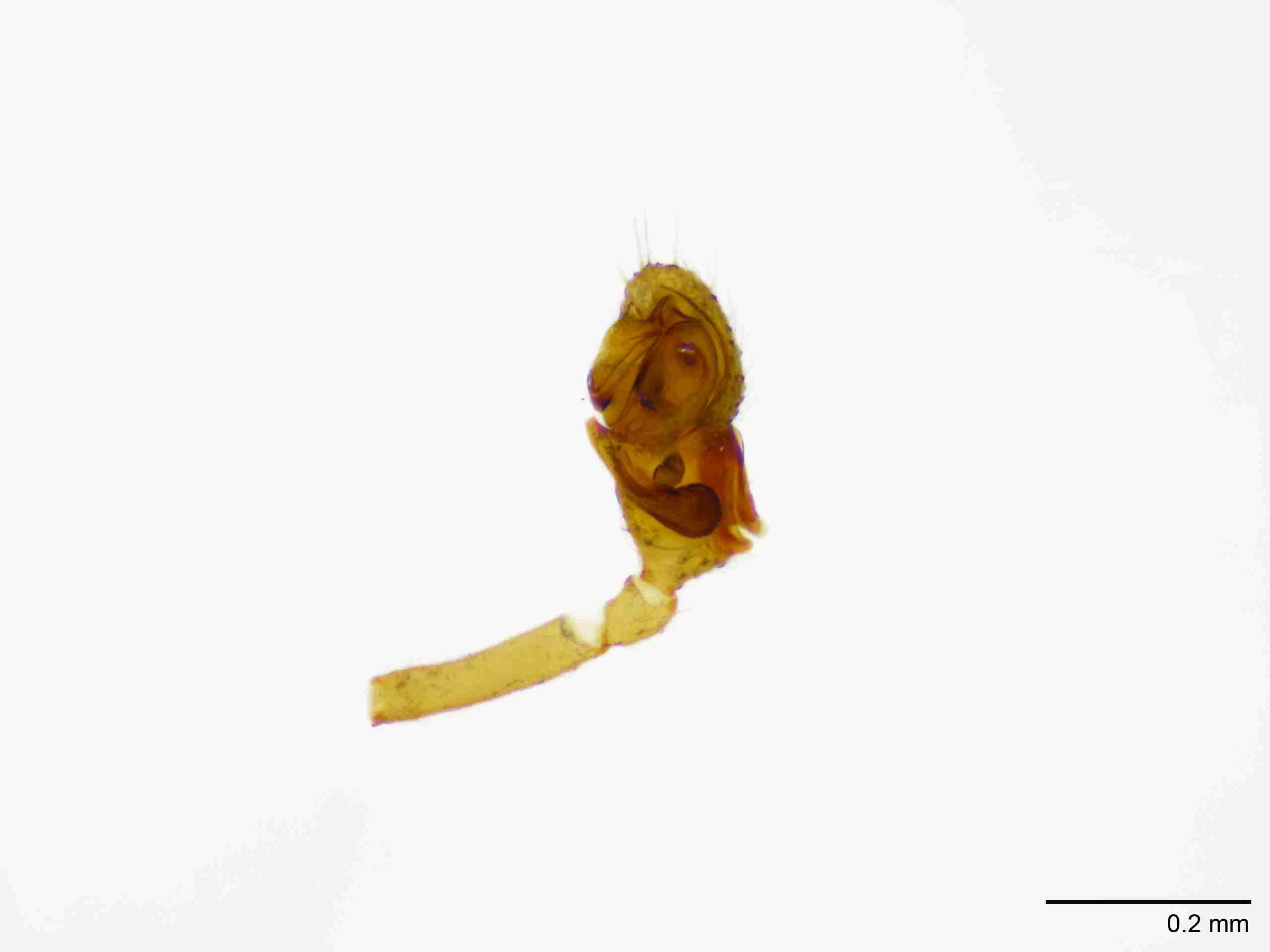INVPICV128mppalrPIC570_100X_NL.jpg