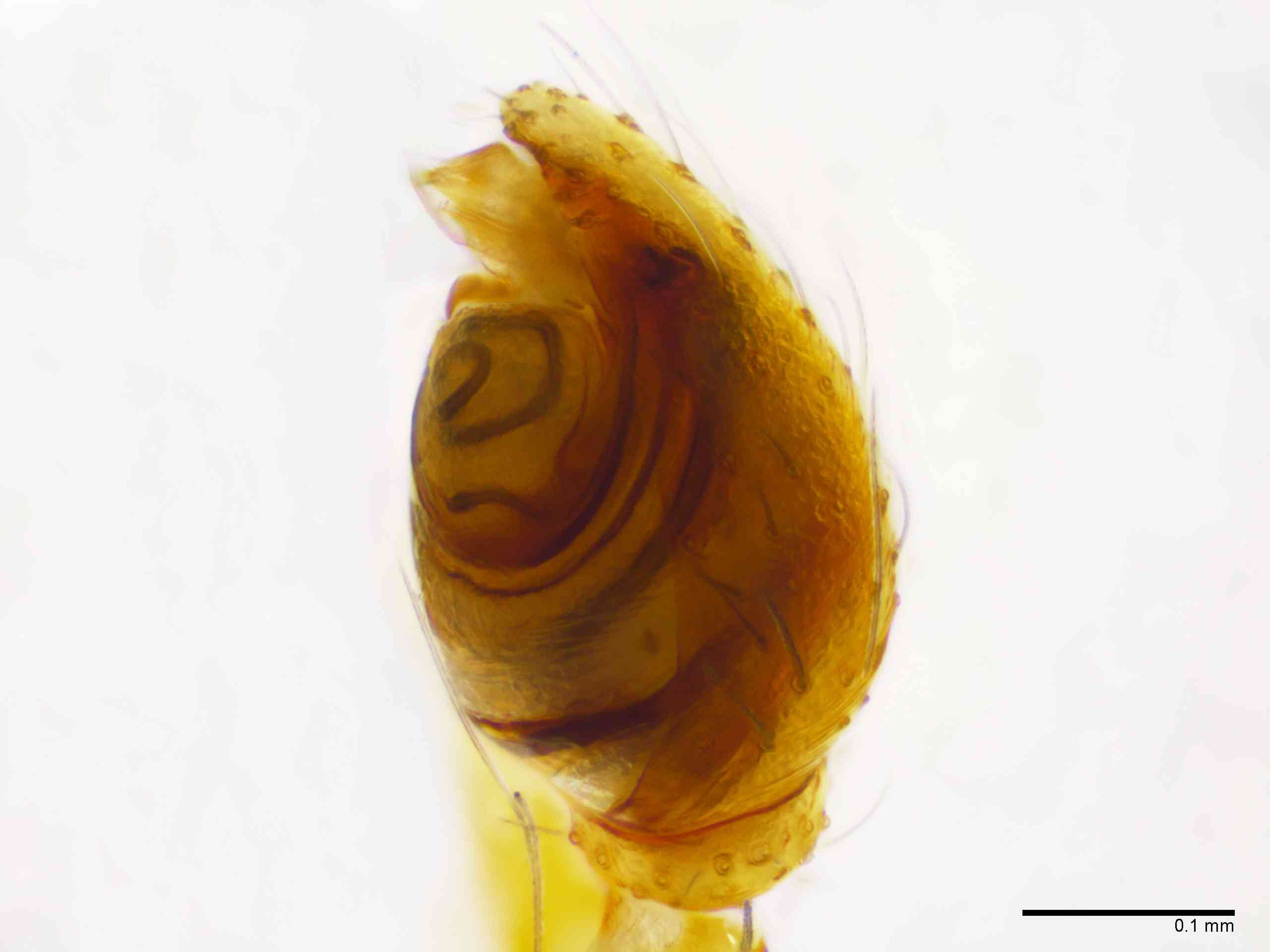 THERID0167mppalrTXV581_200X_E2A.jpg
