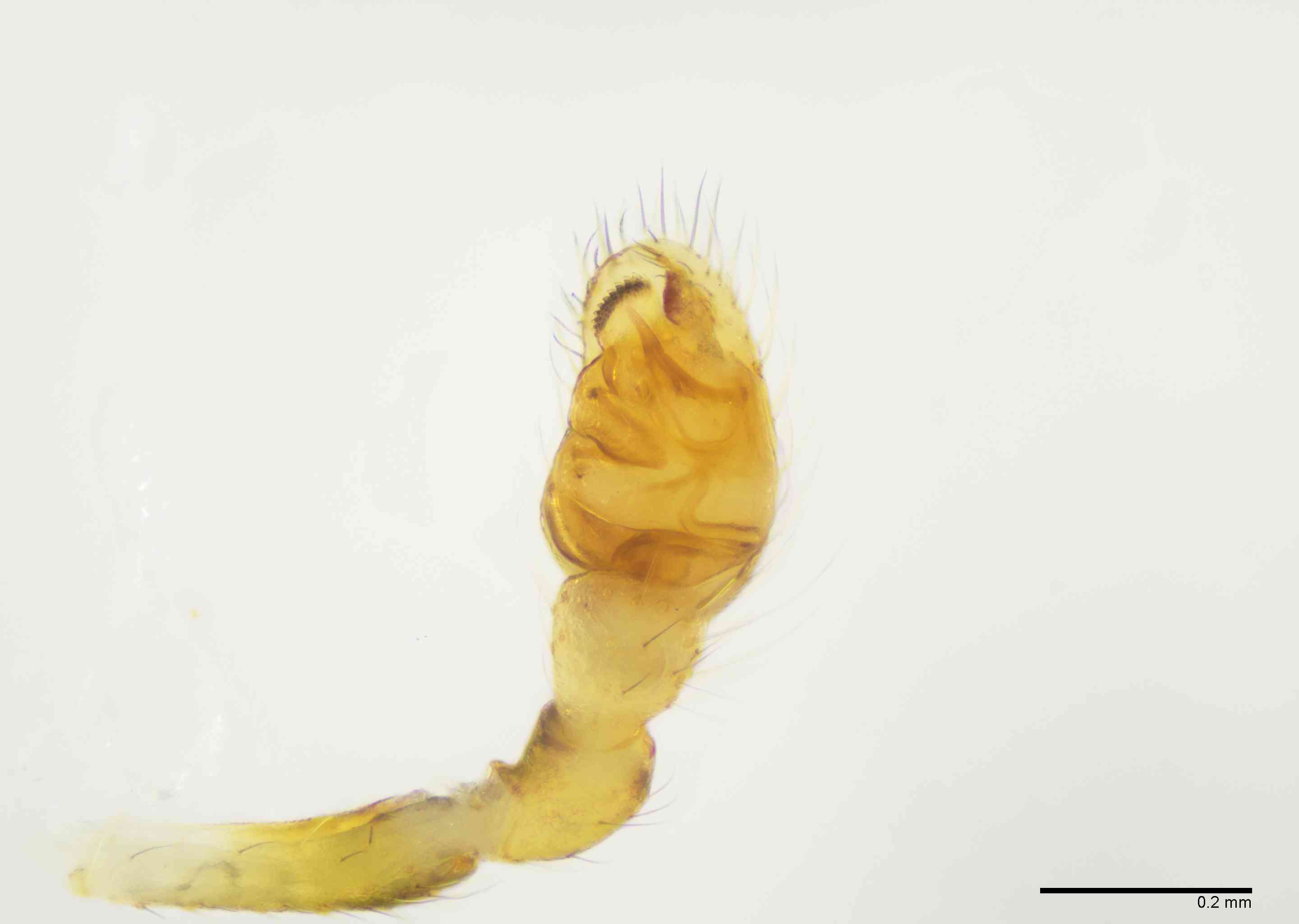 THERID0188mppalvTXV567_100X_E2B.jpg