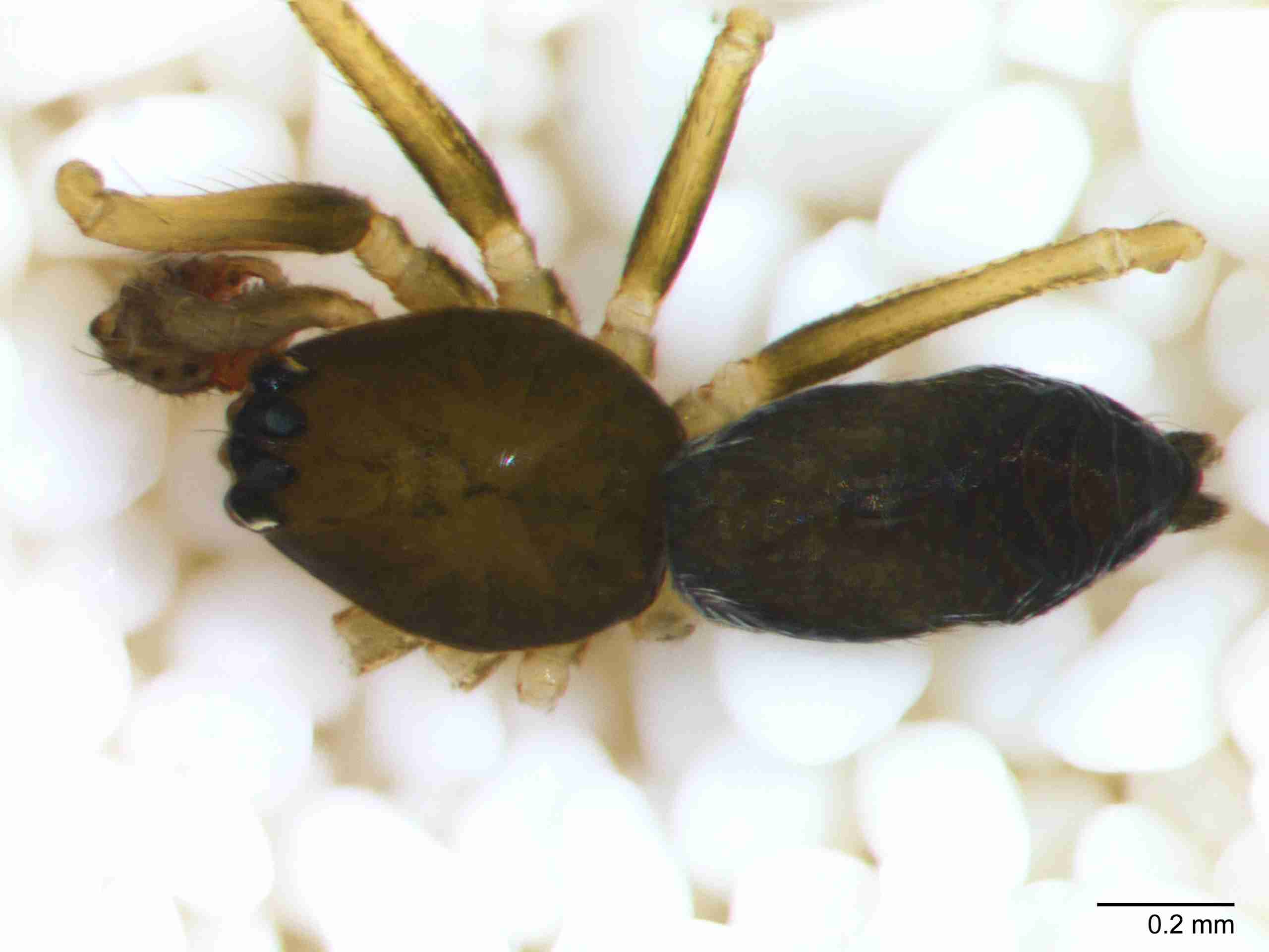 XILLINY064mphabdJAM897_70X_Z10.jpg