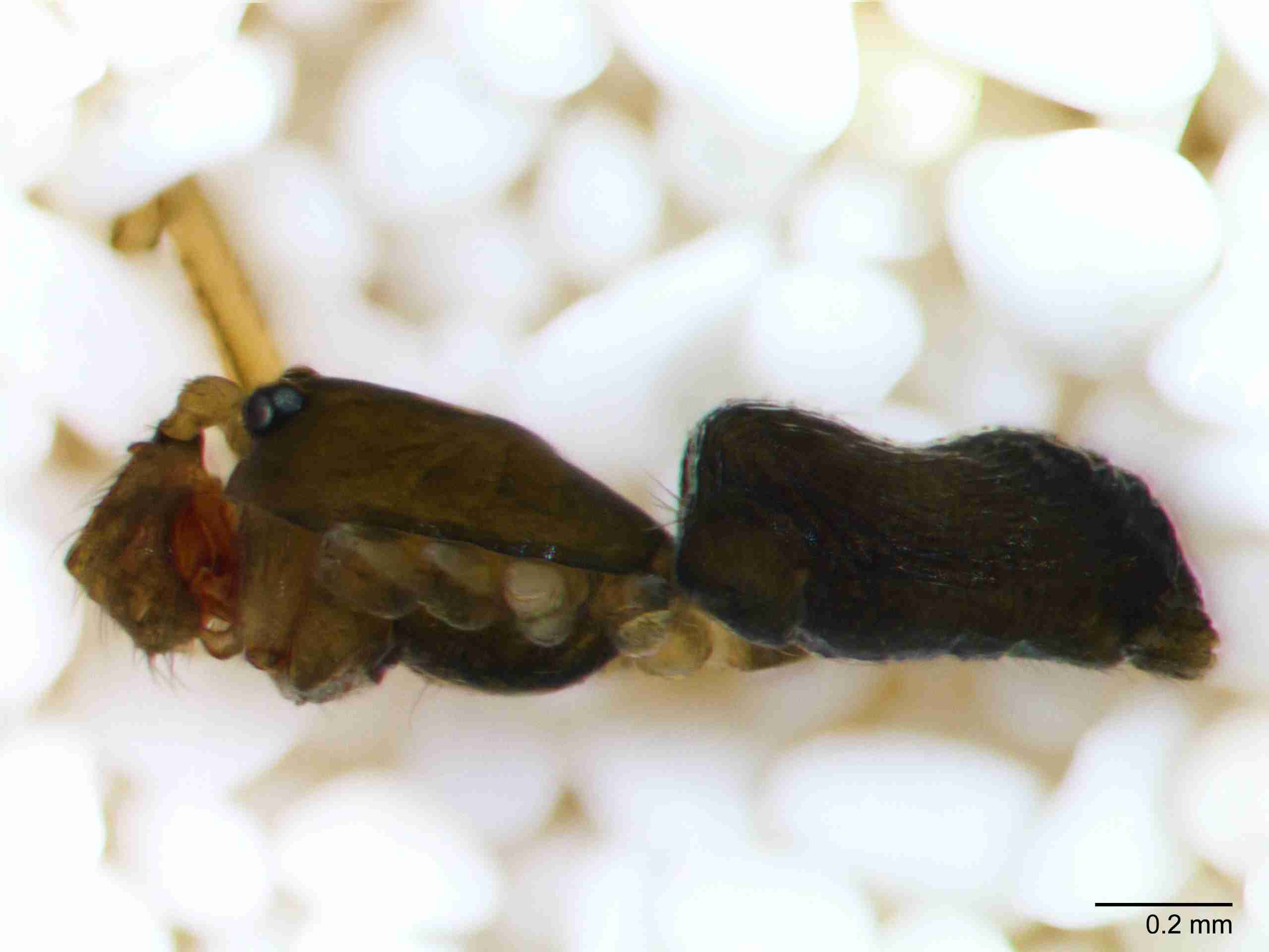 XILLINY064mphablJAM897_70X_Z10.jpg