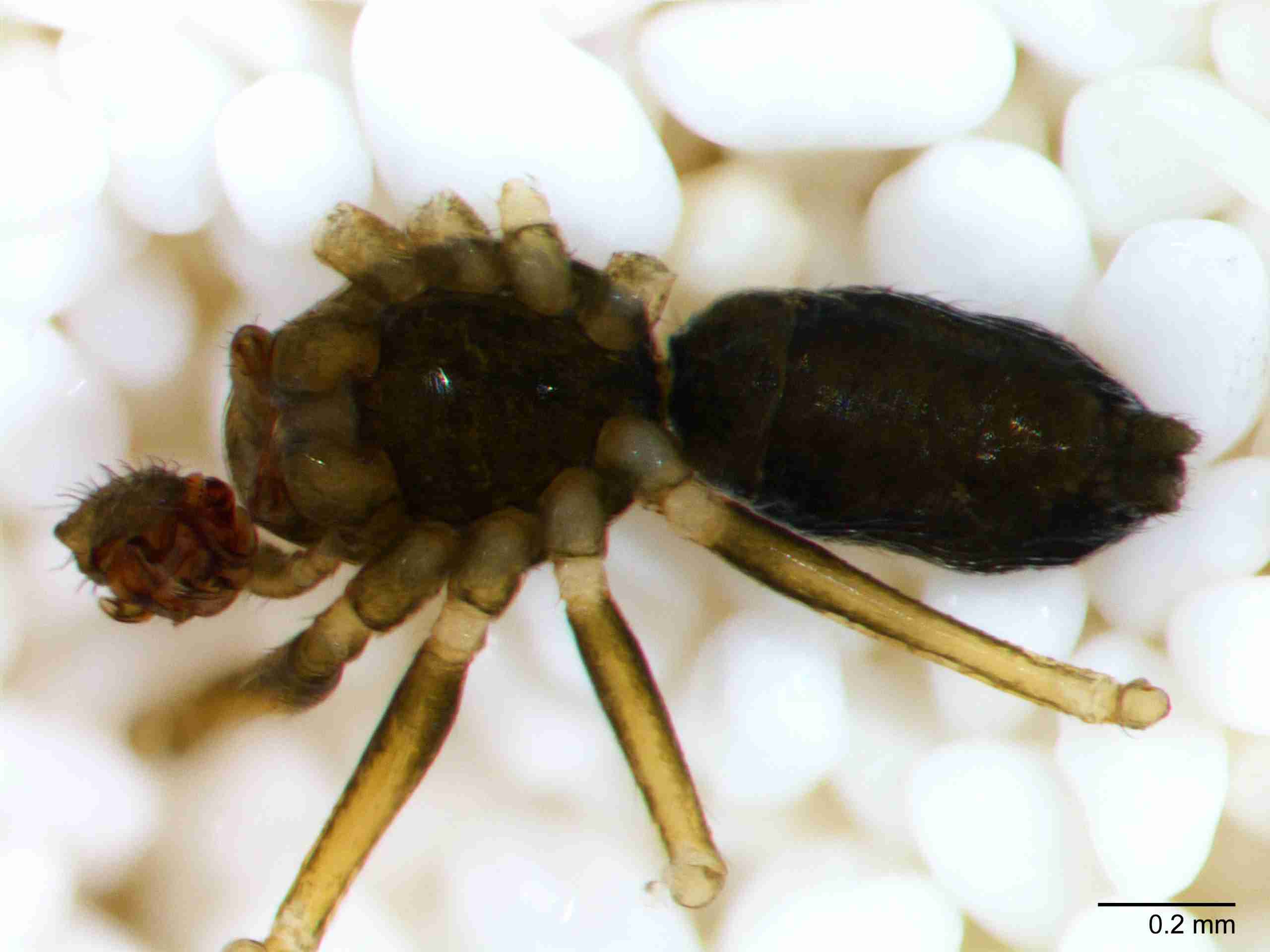 XILLINY064mphabvJAM897_70X_Z10.jpg