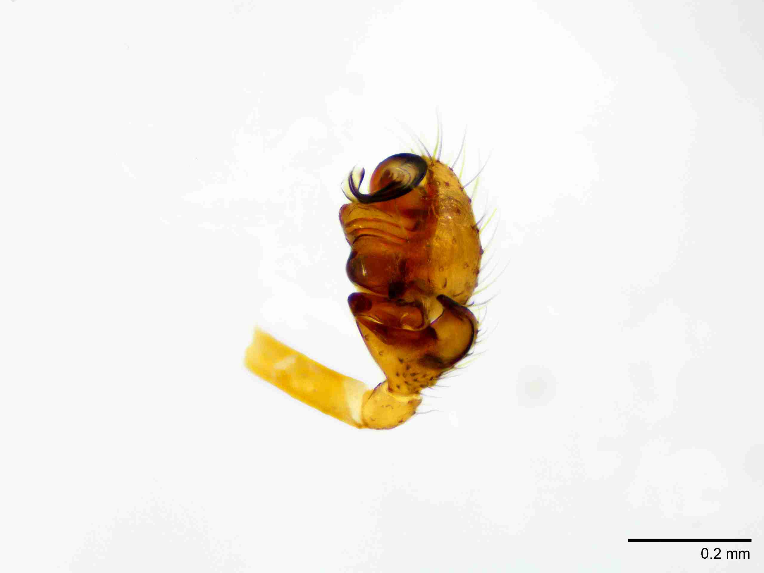 XILLINY072mppalrJAM901_100X_E2A.jpg