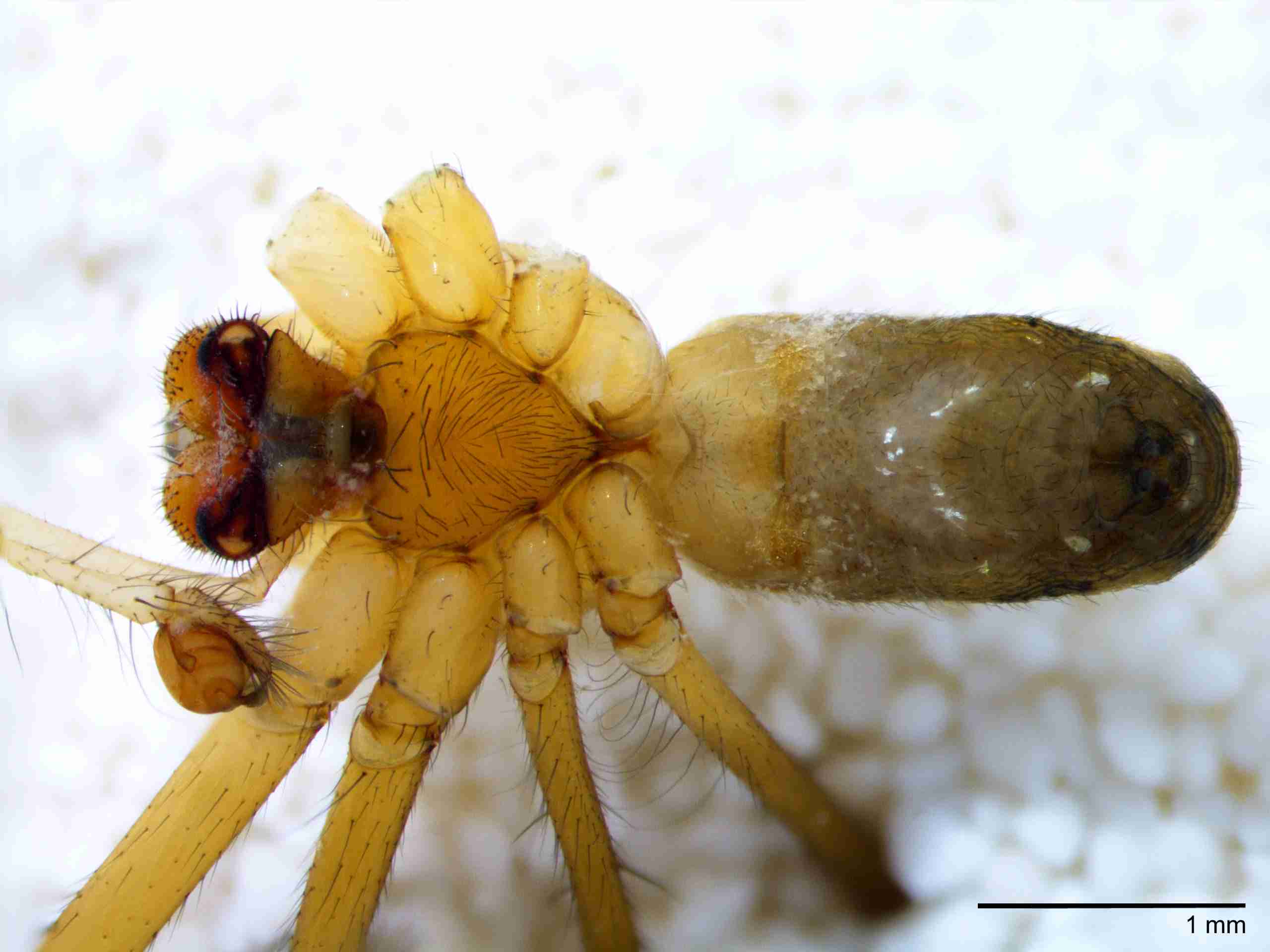 XILTETR128mphabvJAM873_25X_Z10.jpg