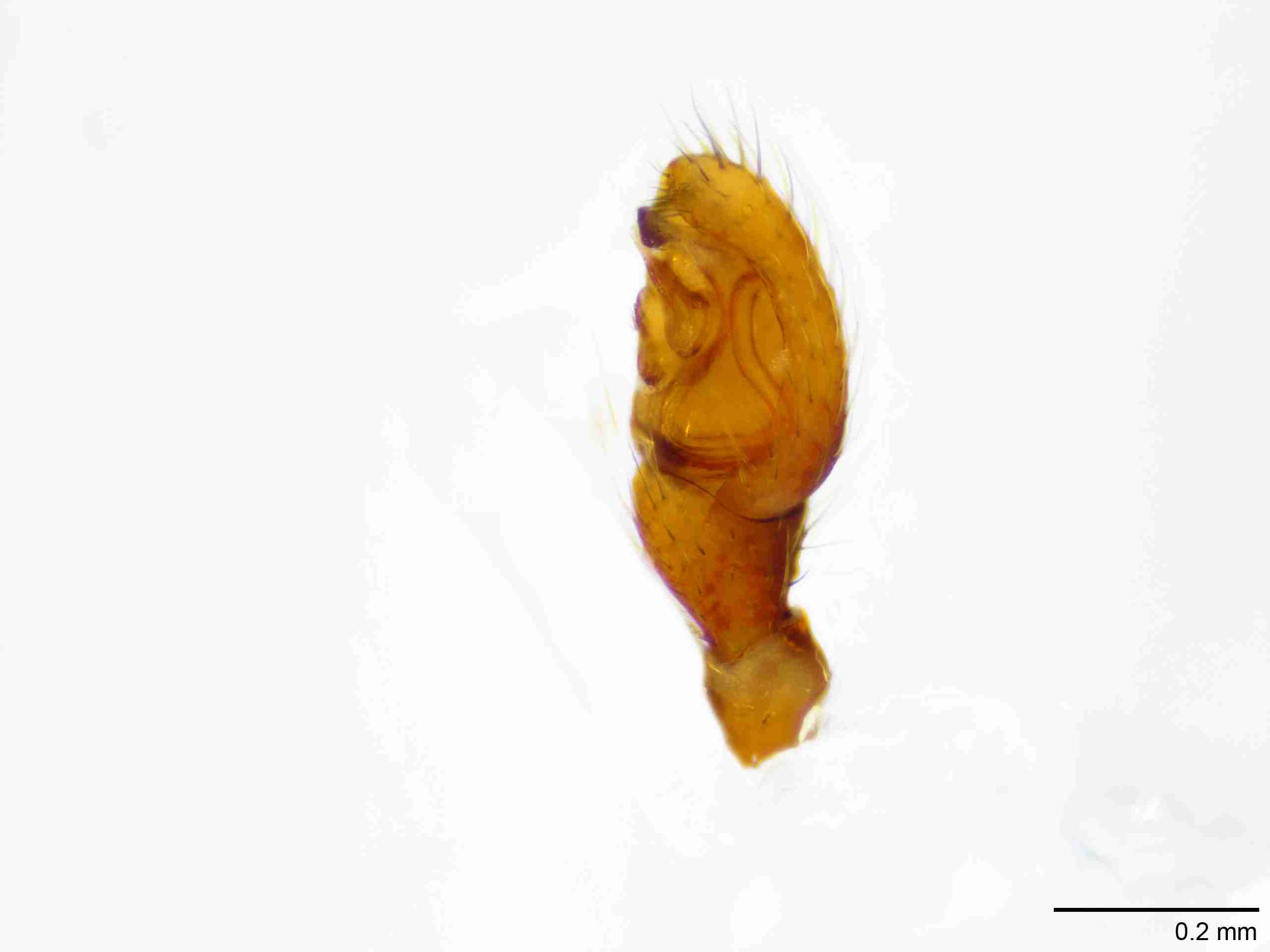 XILTHER151mppalrJAM410_100X_E2A.jpg