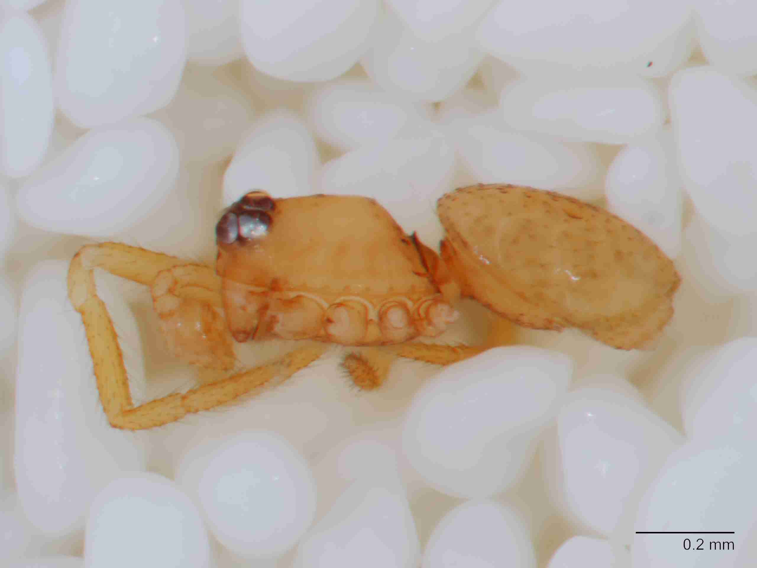 XILTHER159mphablJAM193_80X_Z10.jpg